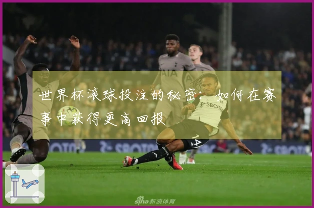 世界杯滚球投注的秘密：如何在赛事中获得更高回报