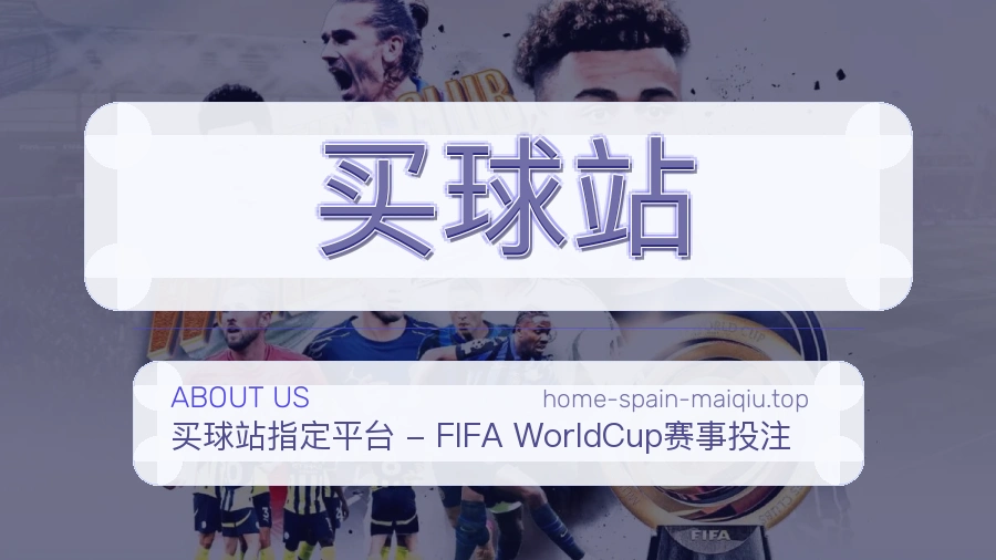关于 买球站 团队与服务